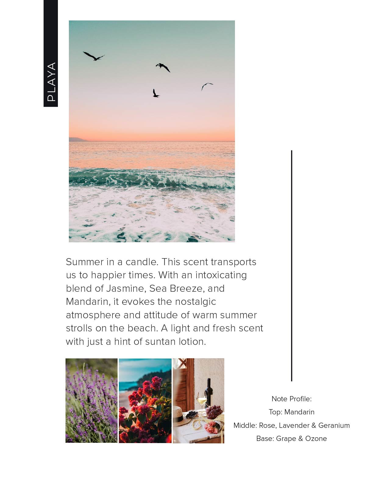EFCO-SCENTPROFILES-03.jpg