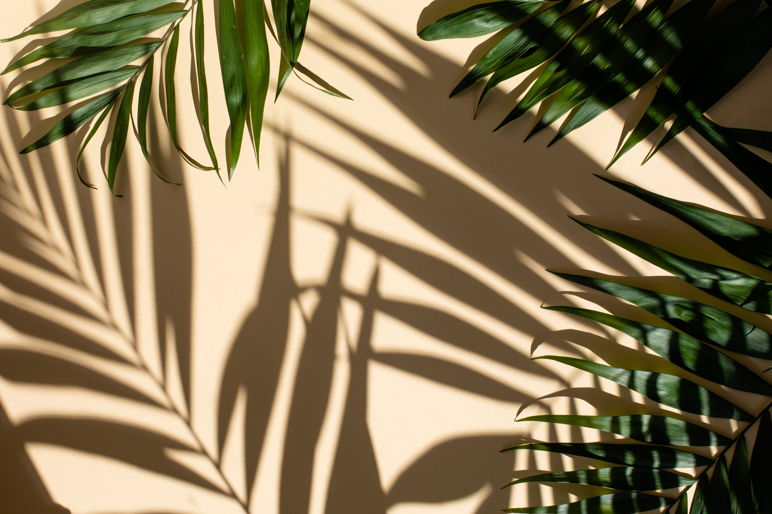 AdobeStock_418983370.jpeg
