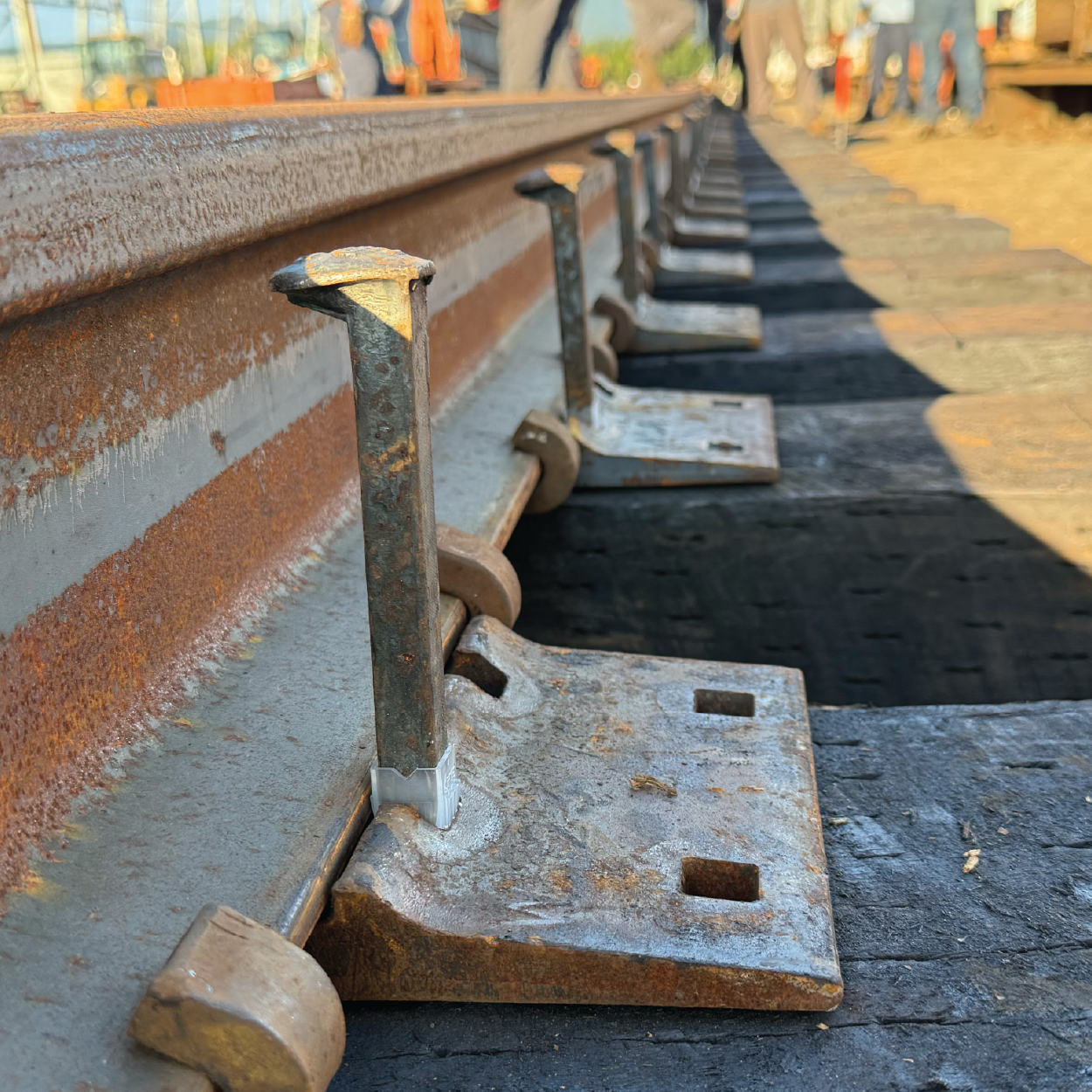 SpikeTee Shop_Spike Tee-60.png