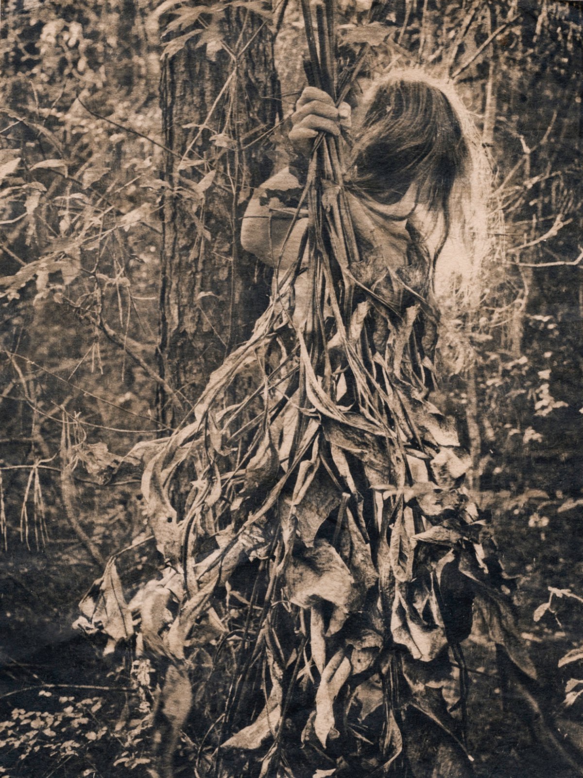 The Art of Emotion: Jaime Johnson Aelavanthara as part of Powerhouse Show