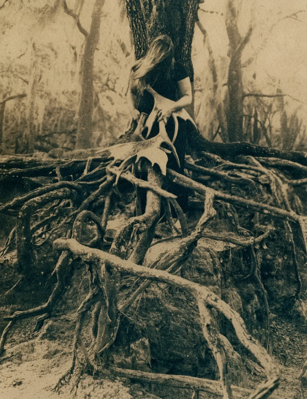 Where+the+Roots+Rise.webp