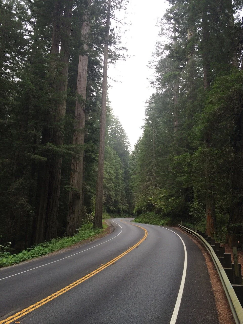 The California Redwoods.
