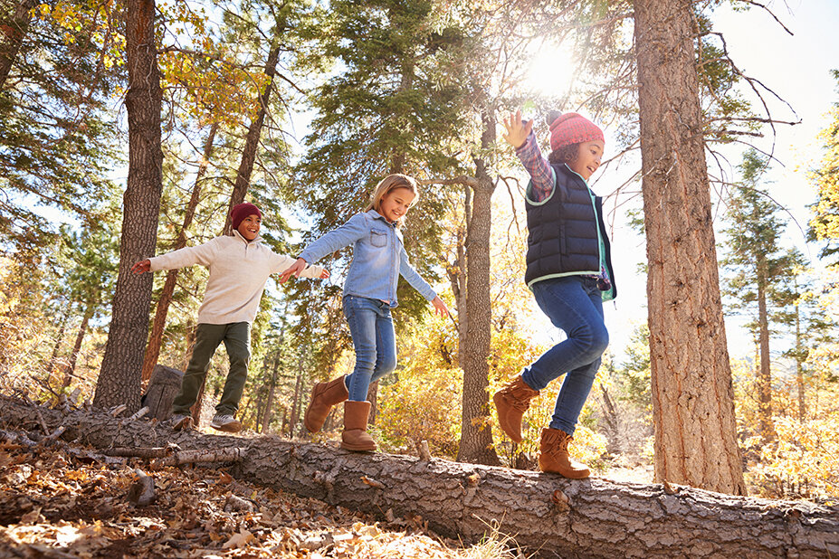 kids_walking_on_log.jpg