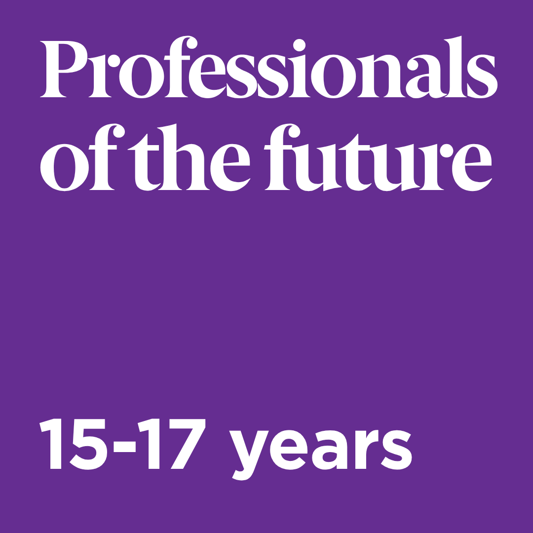 Professionals Course