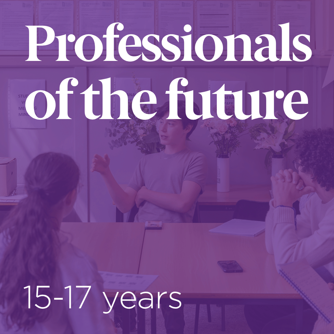 Professionals Course