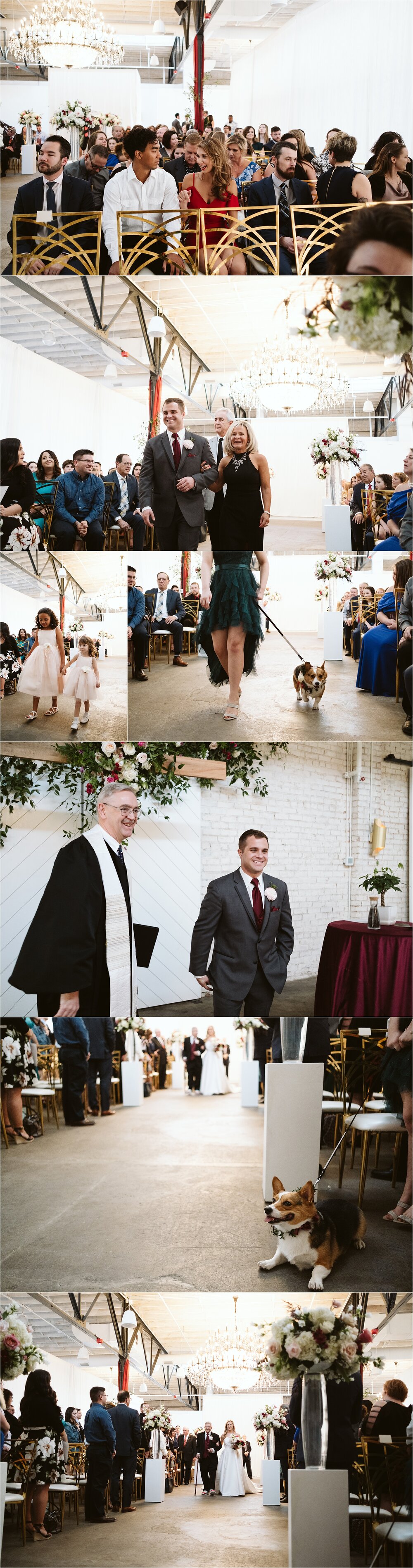 Dog the Abbott Kansas City Wedding