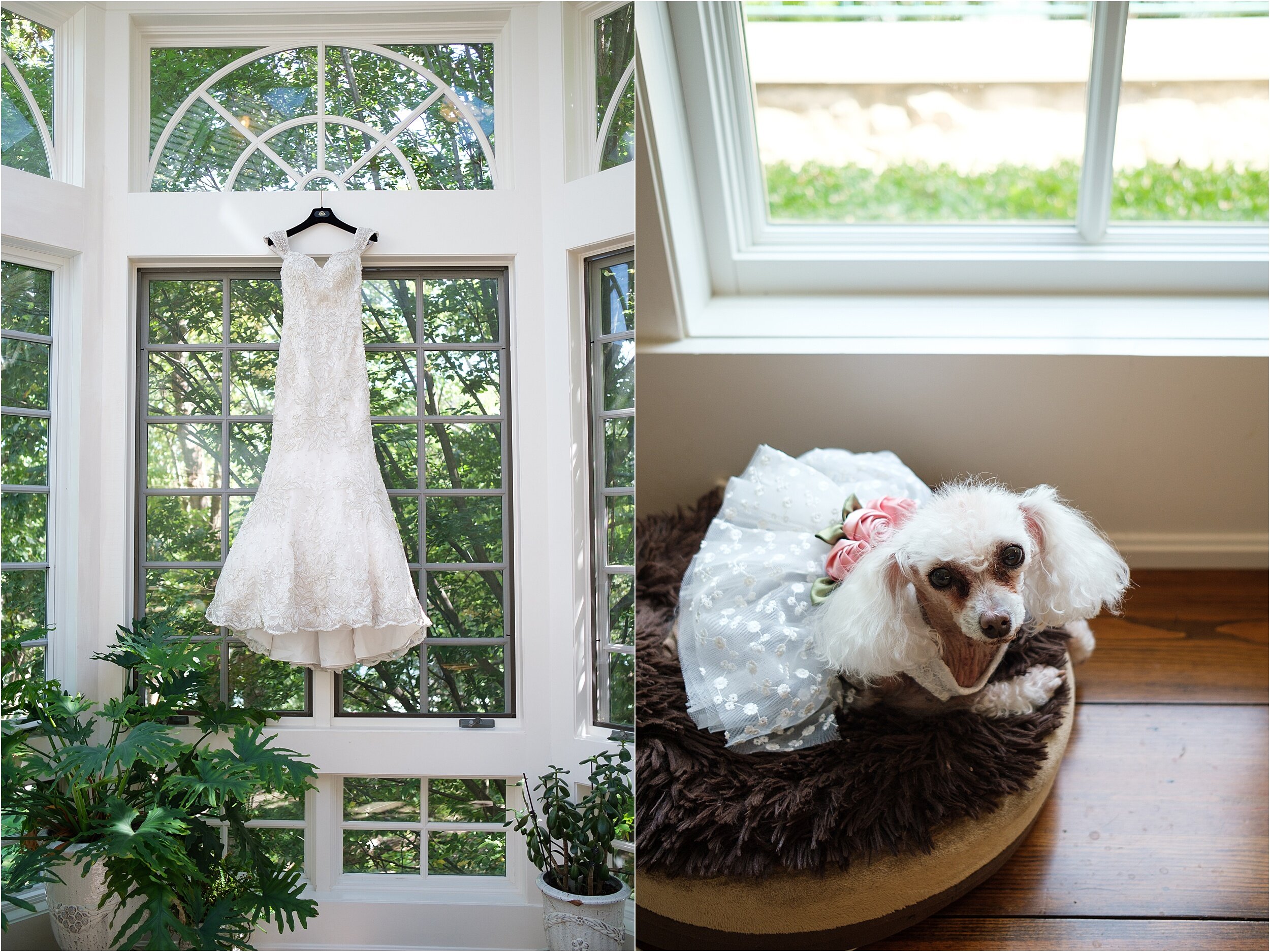 Wedding Dress for Dog
