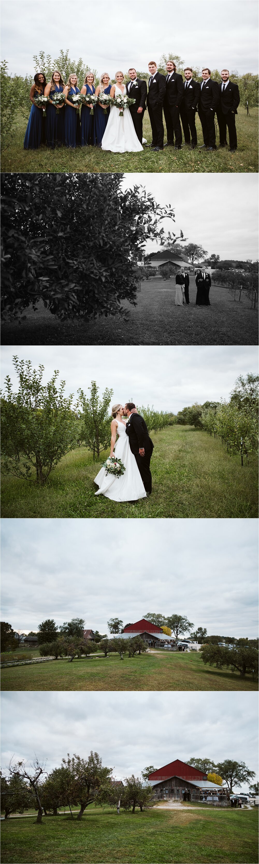 Apple Orchard Wedding Portraits