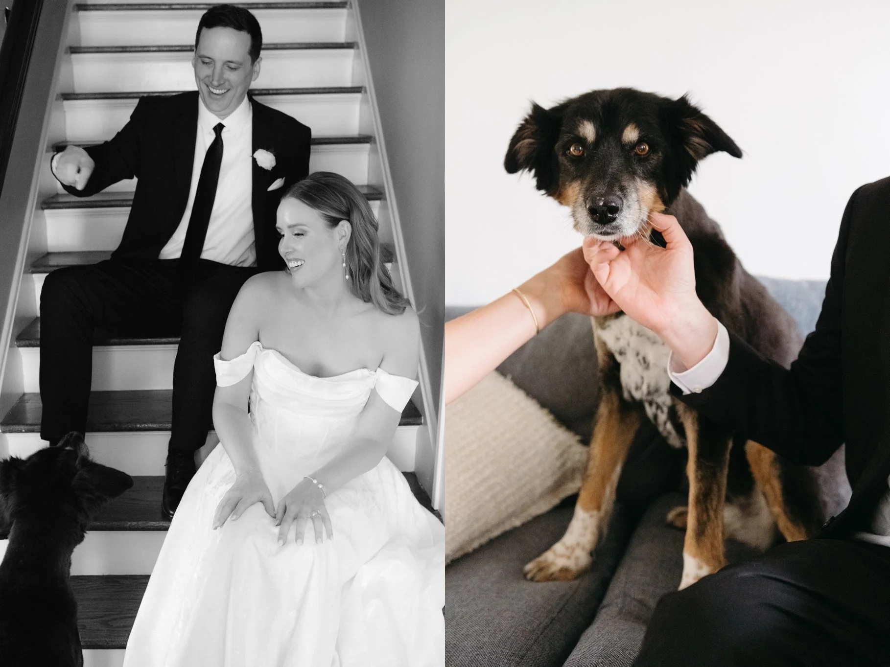 Bride Groom Dog.jpg