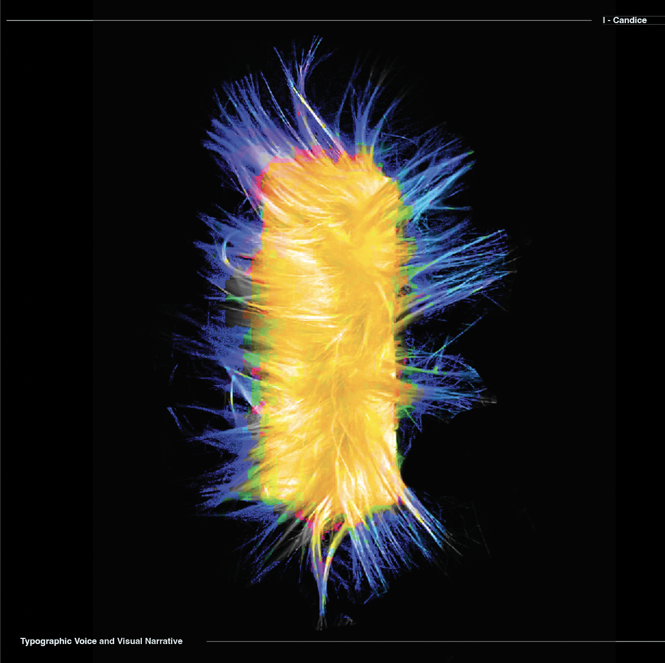 Screen Shot 2022-08-23 at 1.28.55 PM.png