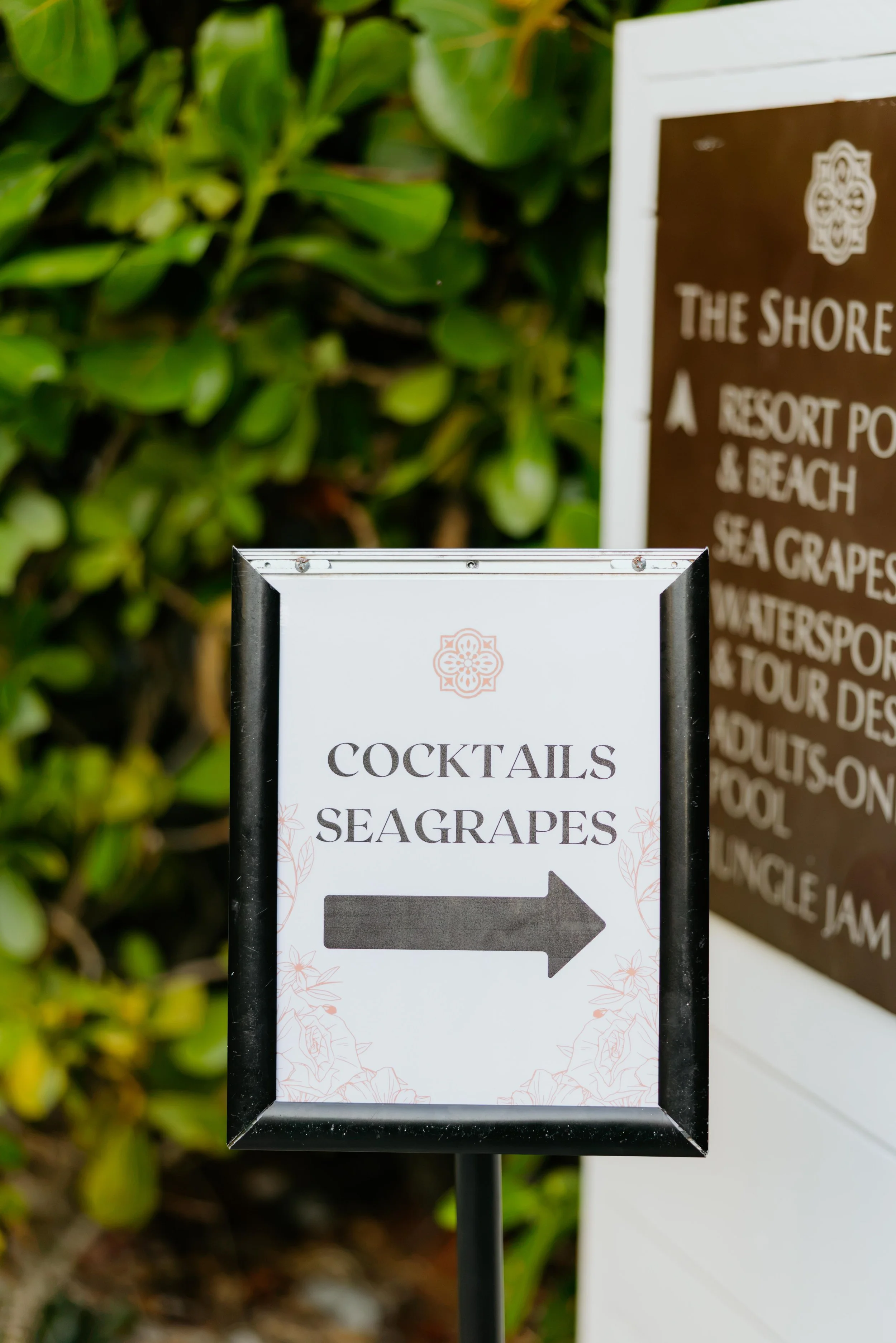 AAM54710.jpg