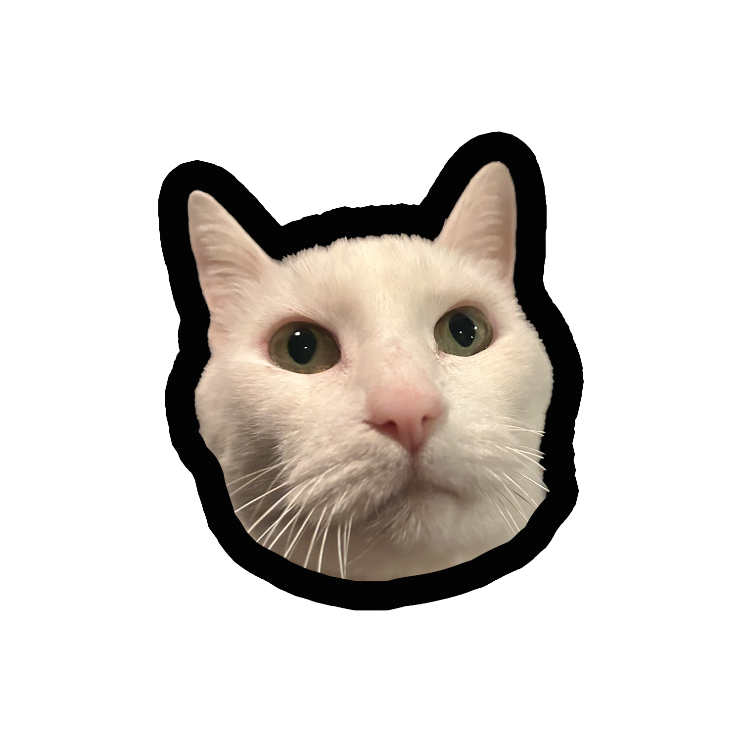 gatorugo.png