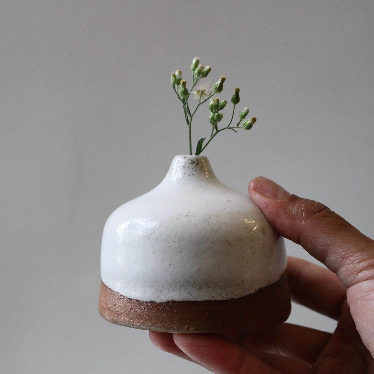 Throwback to my first wild clay bud vase. This is the only piece that has survived with a glaze over the of the found clay. 

I have since had a number of wild clay pots crack under the stress of my new glazes. 

I might revisit glazing these pieces 
