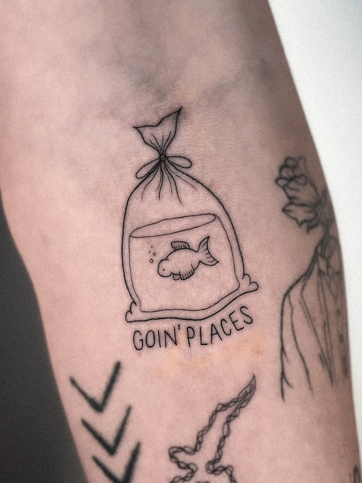 putting this here bc it&rsquo;s my favorite flash. that&rsquo;s all. thank you curtis!!
.
#flashdesign