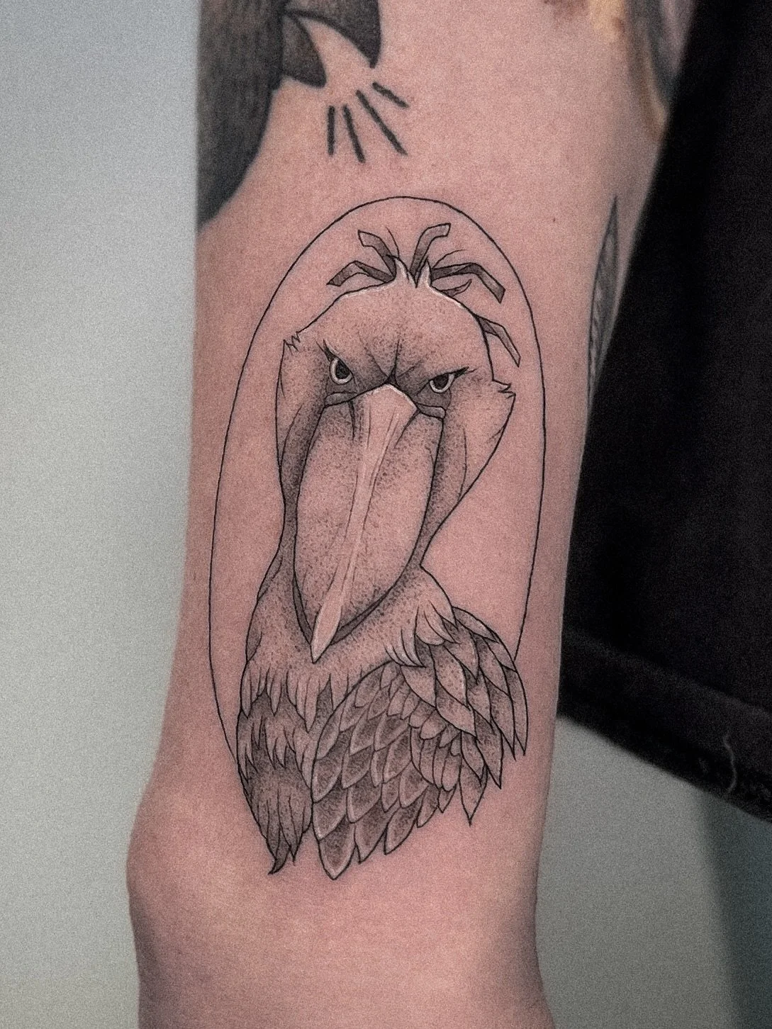 when your client says &ldquo;i want a giant prehistoric looking bird&rdquo; and you say YES. swipe to see this beast of a birb 🐦 

the weirder the better. thank you liz for so much fun 🫶
.
.
.
.
#3rltattoo #blackandgray #dotwork #blackwork #finelin
