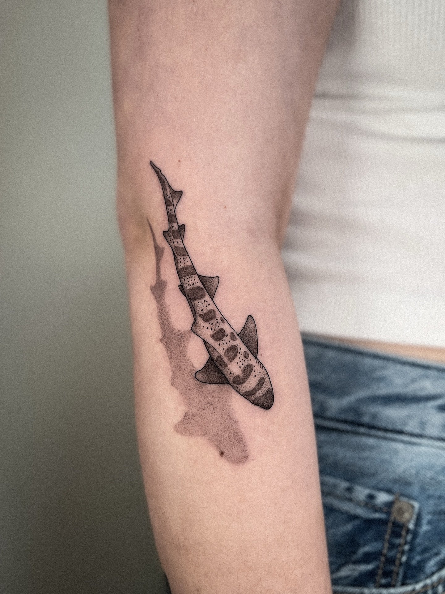 story saw it first&hellip;and u should still give it some love 🥹
.
cutie little leopard shark based off the leopard sharks in la jolla, san diego for aubrey 🦈 rawr! (that&rsquo;s thank u in shark)
.
#sandiegotattooartist #sandiegotattoo #lajolla #l