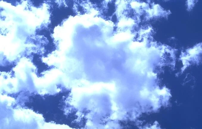 image.jpeg