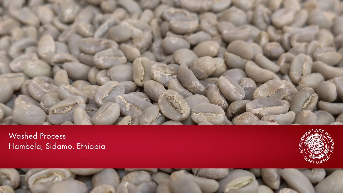 Eth Washed Hambella bean.jpg