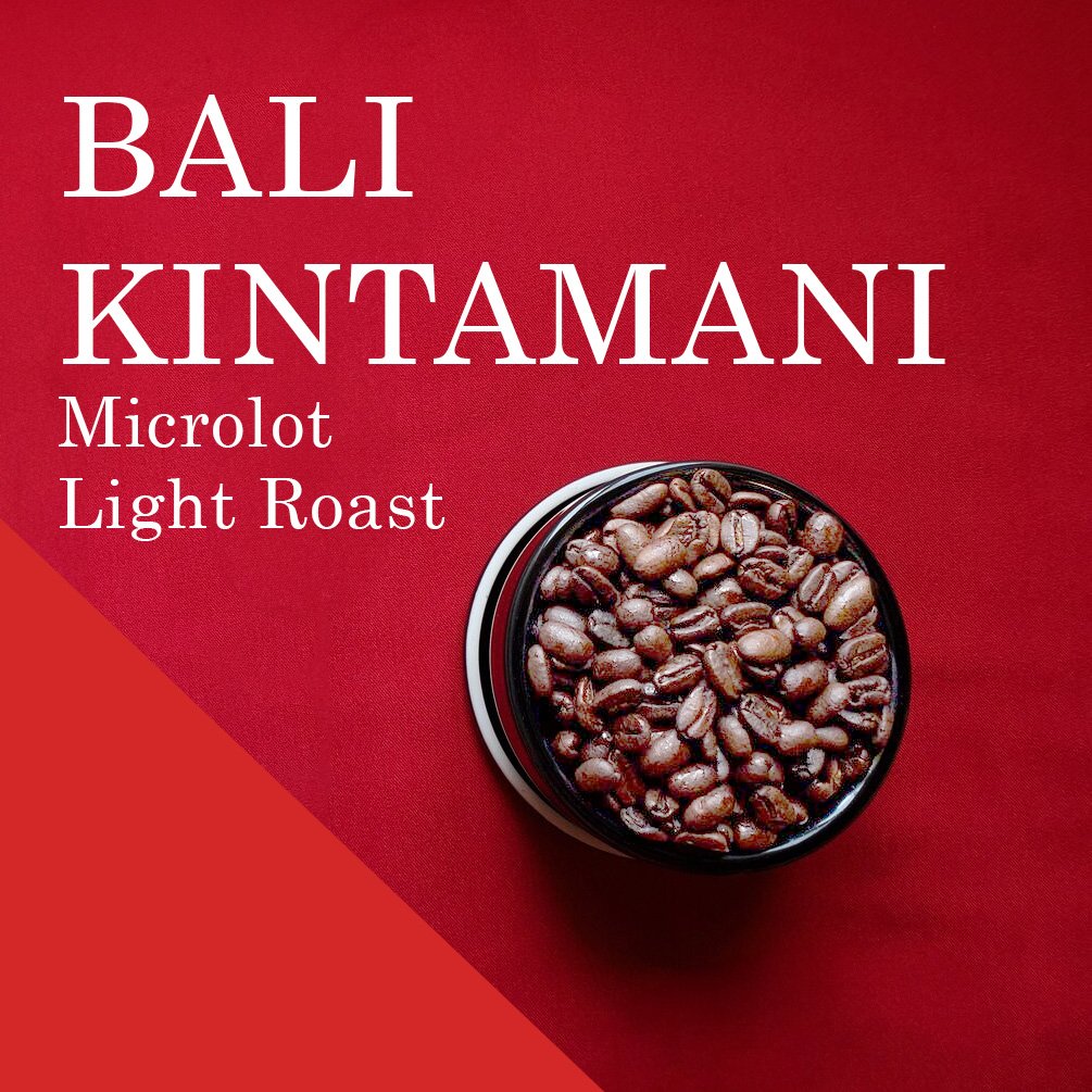 BALI KINTAMANI_store_light_01.jpg