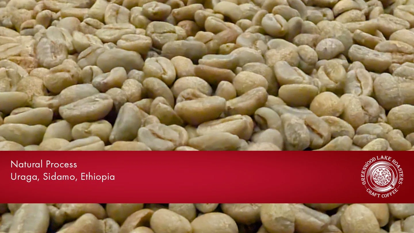 Eth Natural Uraga bean.jpg