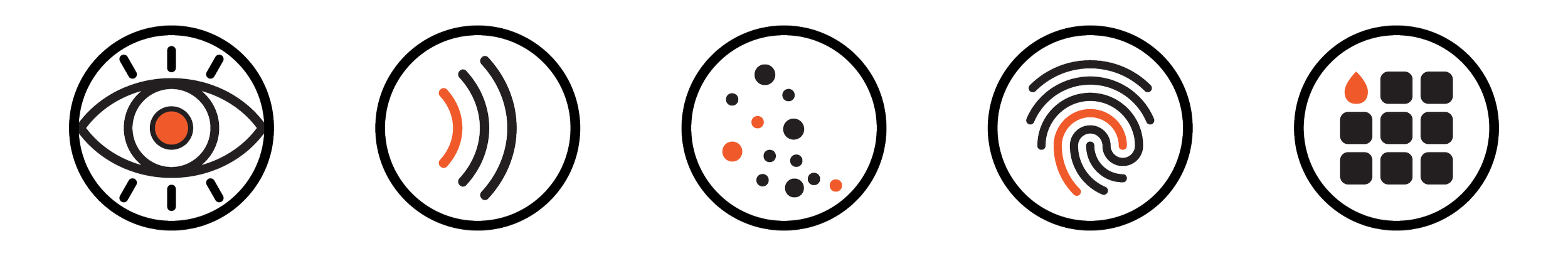 icons of the five senses
