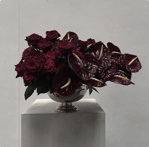 Screenshot 2026-01-19 at 11.28.13.png