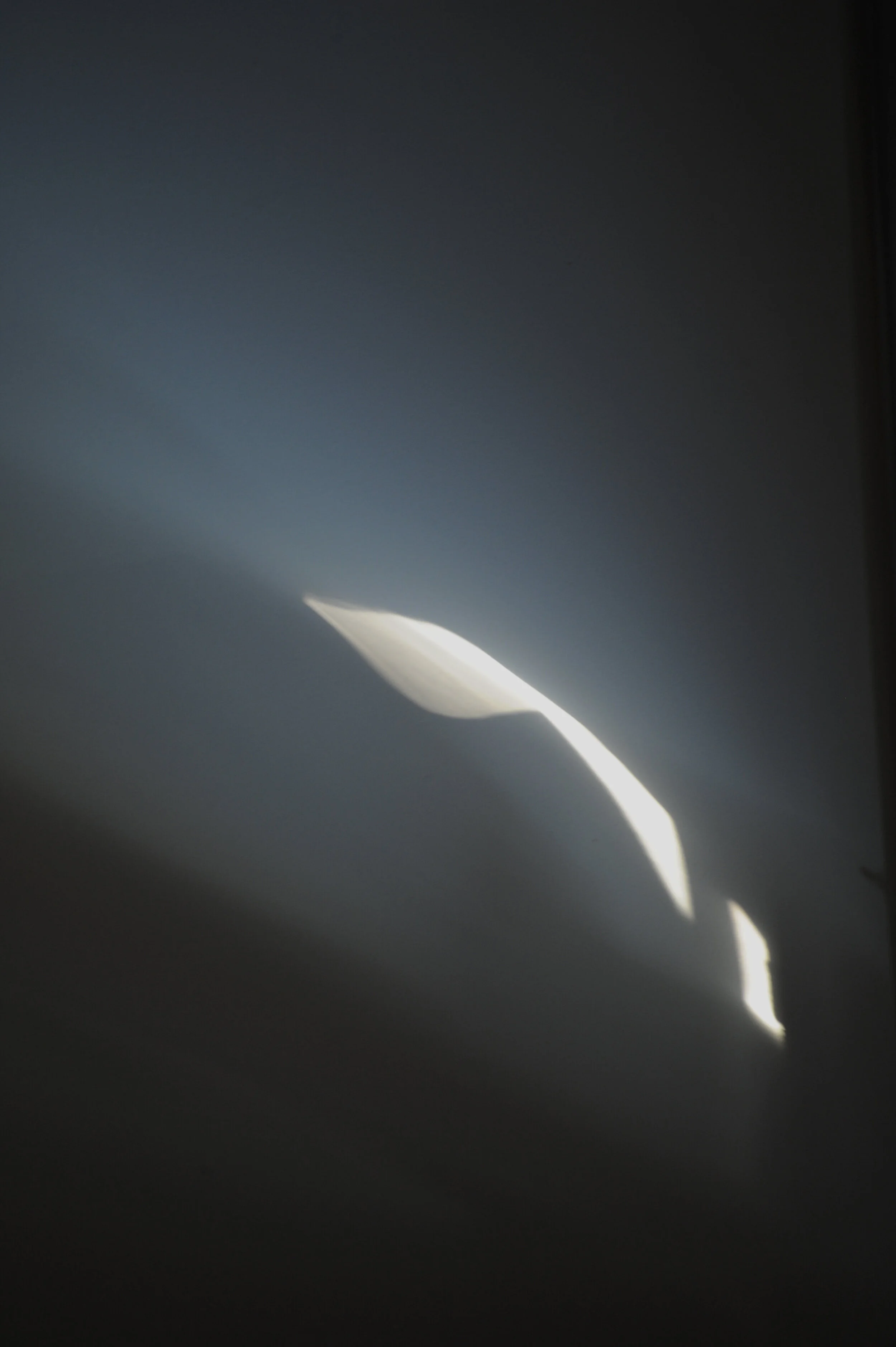 Thesis final cut18.JPG