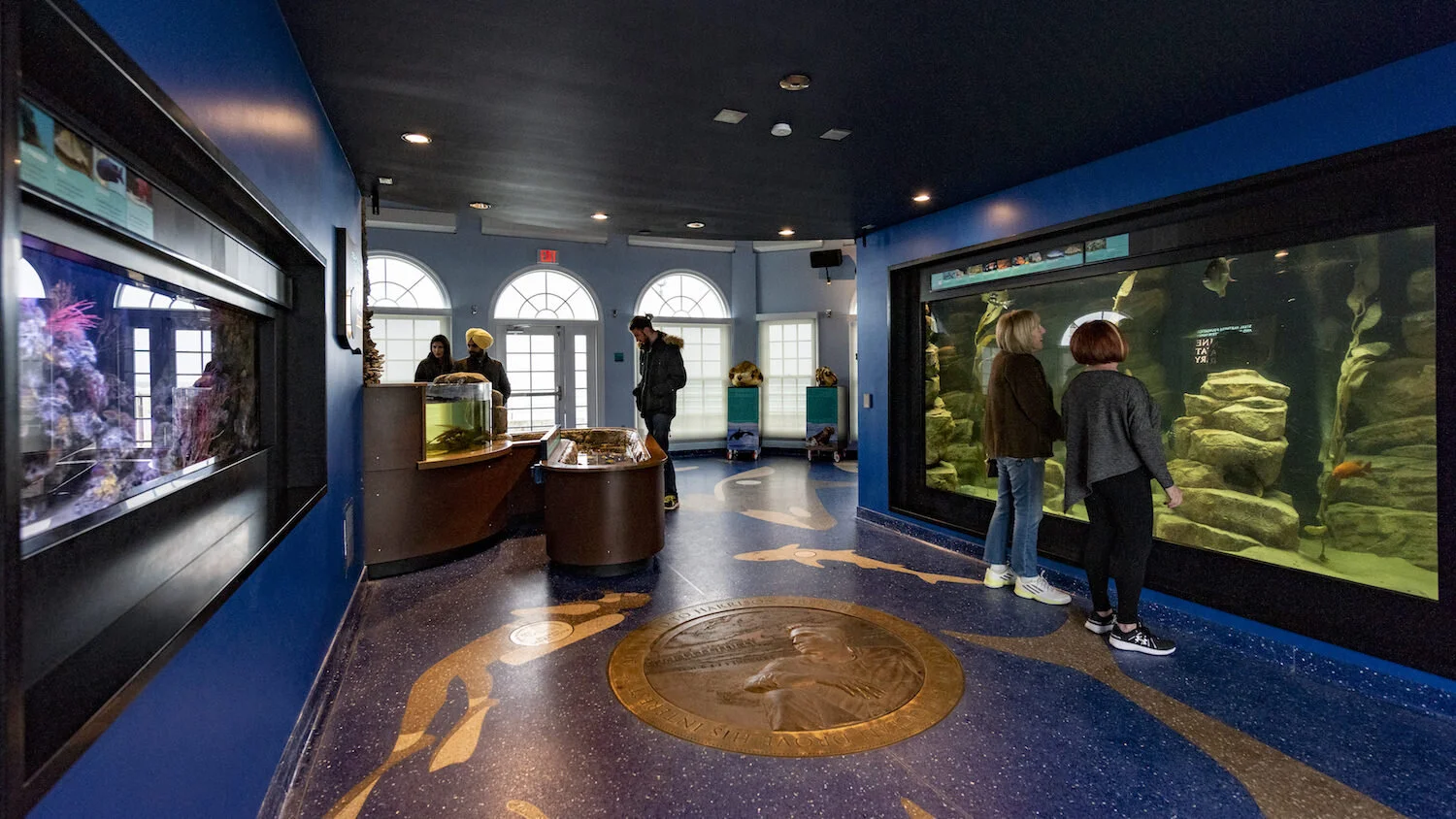 Flux Studio Ltd — Roundhouse Aquarium
