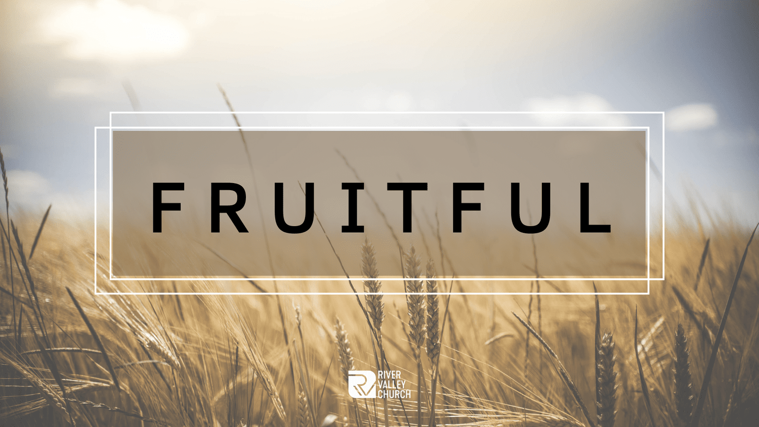 Fruitful - Dealing with the Weeds of Worry, Wealth, and Wonder - Zach Brogdon
