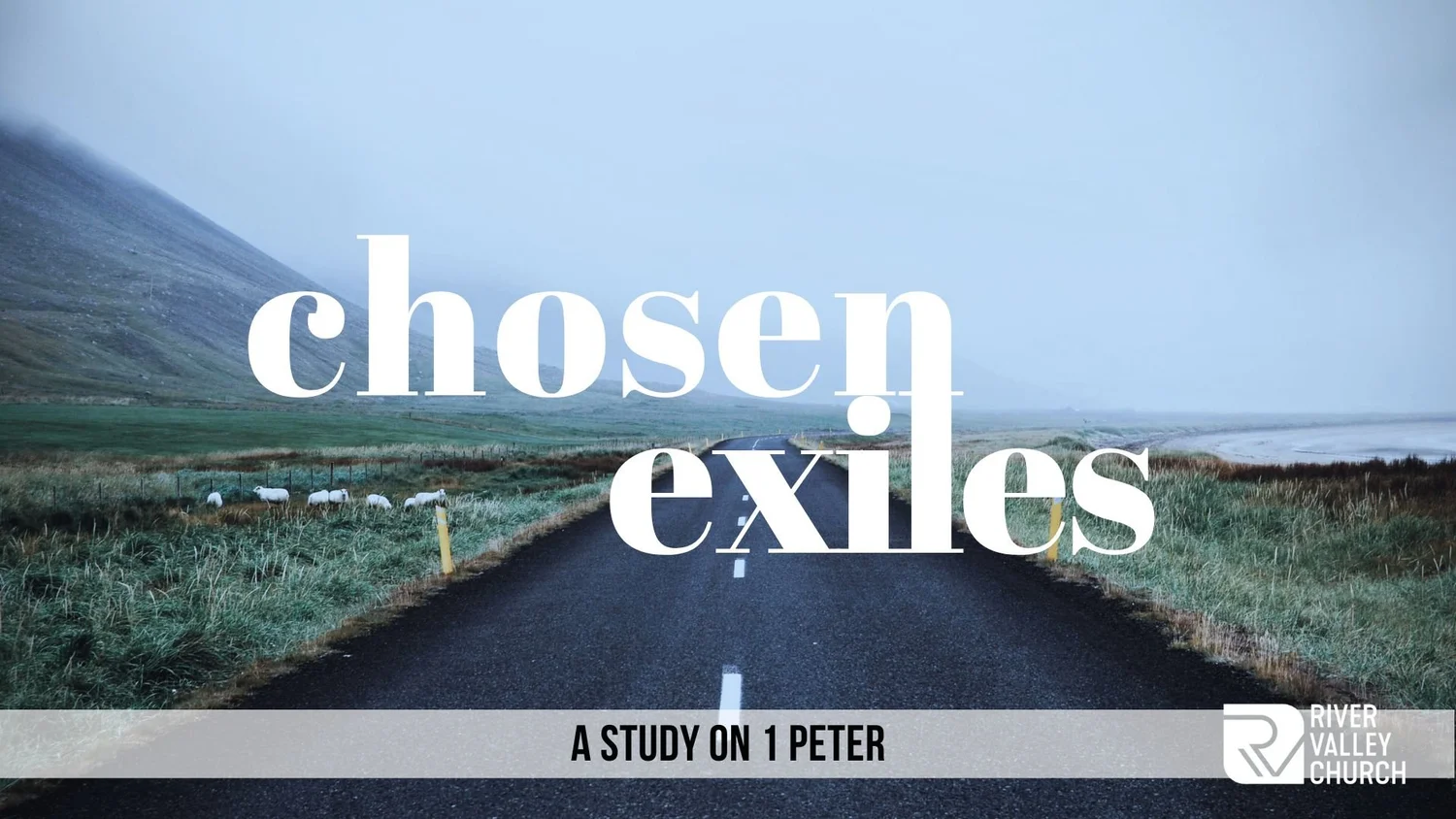 Chosen Exiles -  Fear Not the Lions Roar - Zach Brogdon