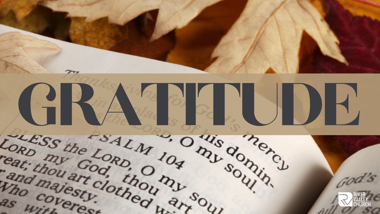 Gratitude -  Generosity - Tim Fortin