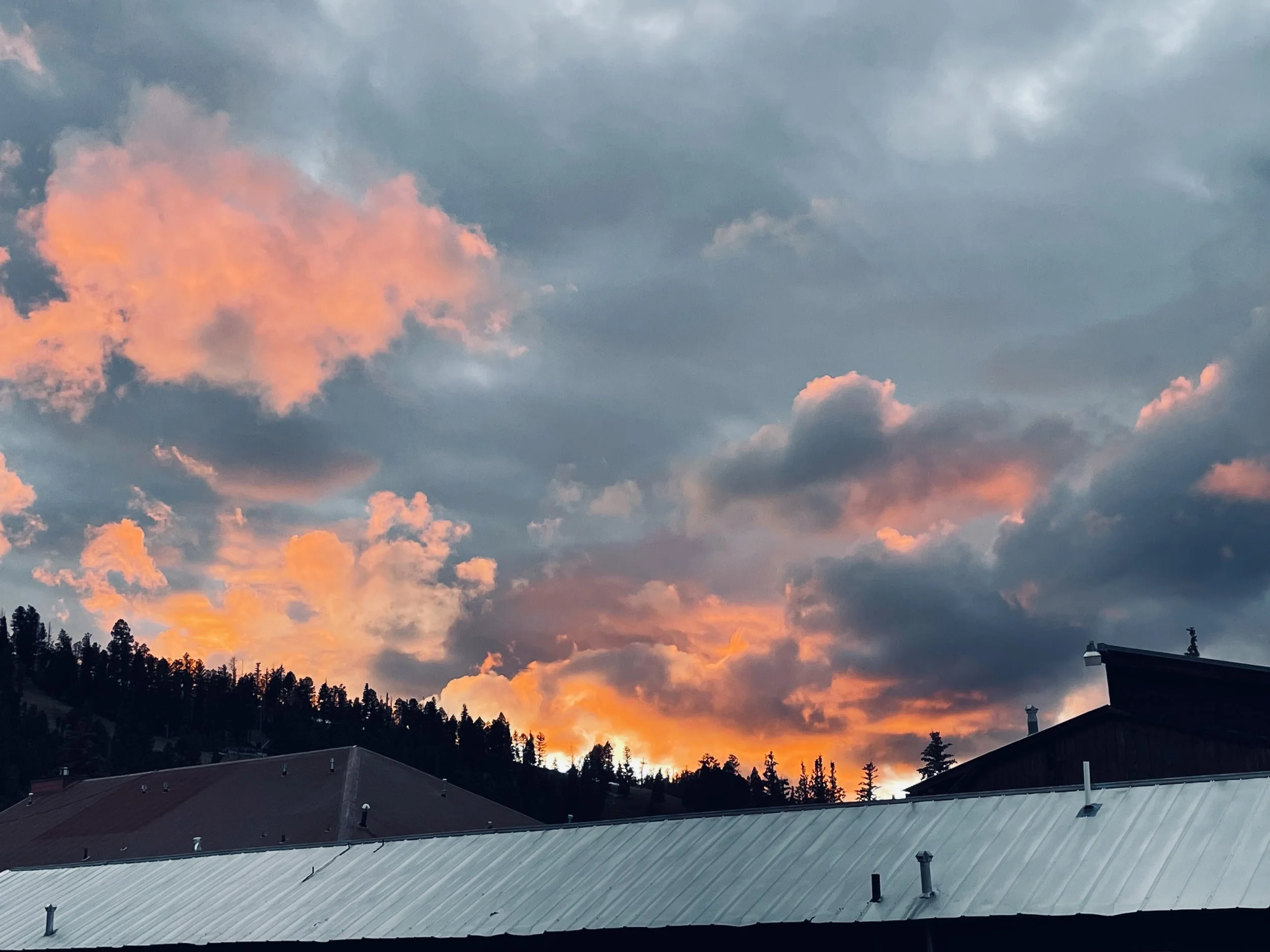 Searching for the Light