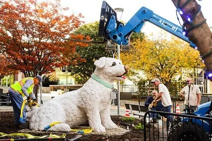 Meet Obie, our newest downtown resident!🐾

Bringing friendly charm and good vibes to the square, this new public art piece was created by local artist @eugenesargent and generously donated by Brandon Karn, owner of @jamminjava_ar 

While it&rsquo;s 