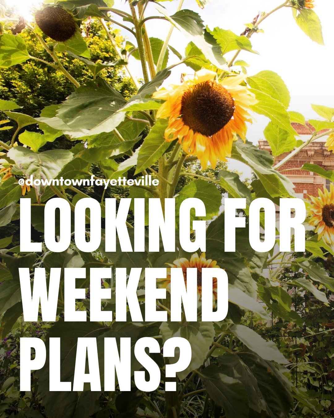 Looking for some Spring things to do this weekend? We&rsquo;ve got you covered 👇

🦞 @theosfayetteville  Bayou Block Party
Head to Theo&rsquo;s in Fayetteville for a Southern-style crawfish boil packed with flavor, live music, and more. Expect hot c