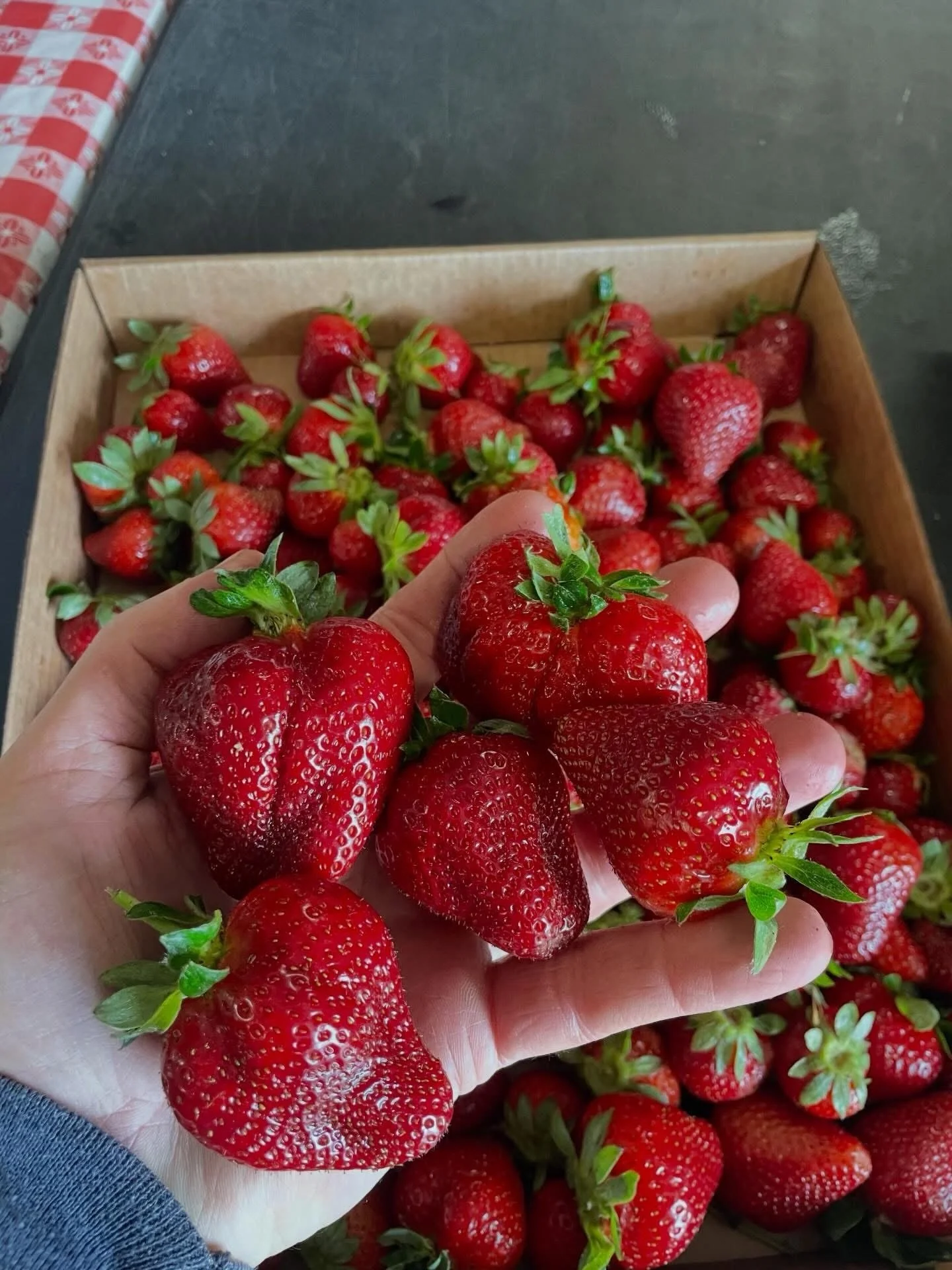 We&rsquo;re excited to welcome @reagan_family_farm back for this year&rsquo;s Fayetteville Strawberry Festival!🍓

They&rsquo;ve been with the festival since year one, bringing their locally grown strawberries and helping make this sweet festival wha