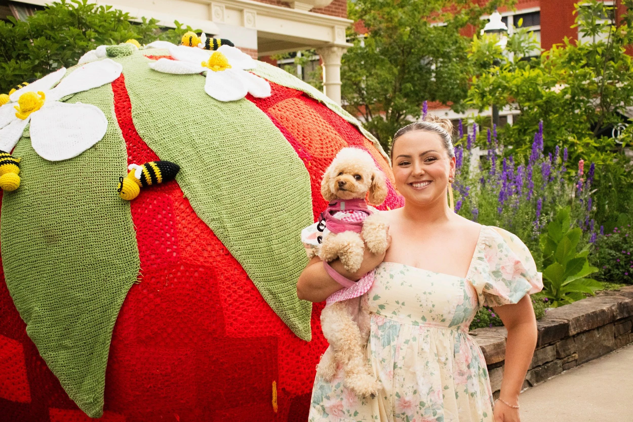 THIS SUNDAY: The Dog Paw-ty Parade is back at the Fayetteville Strawberry Festival thanks to our friends at&nbsp;@houndsloungefay !&nbsp;

Dress your dog in their BERRY best and sign-up to join the parade around the square as the NOLA Brass Band lead