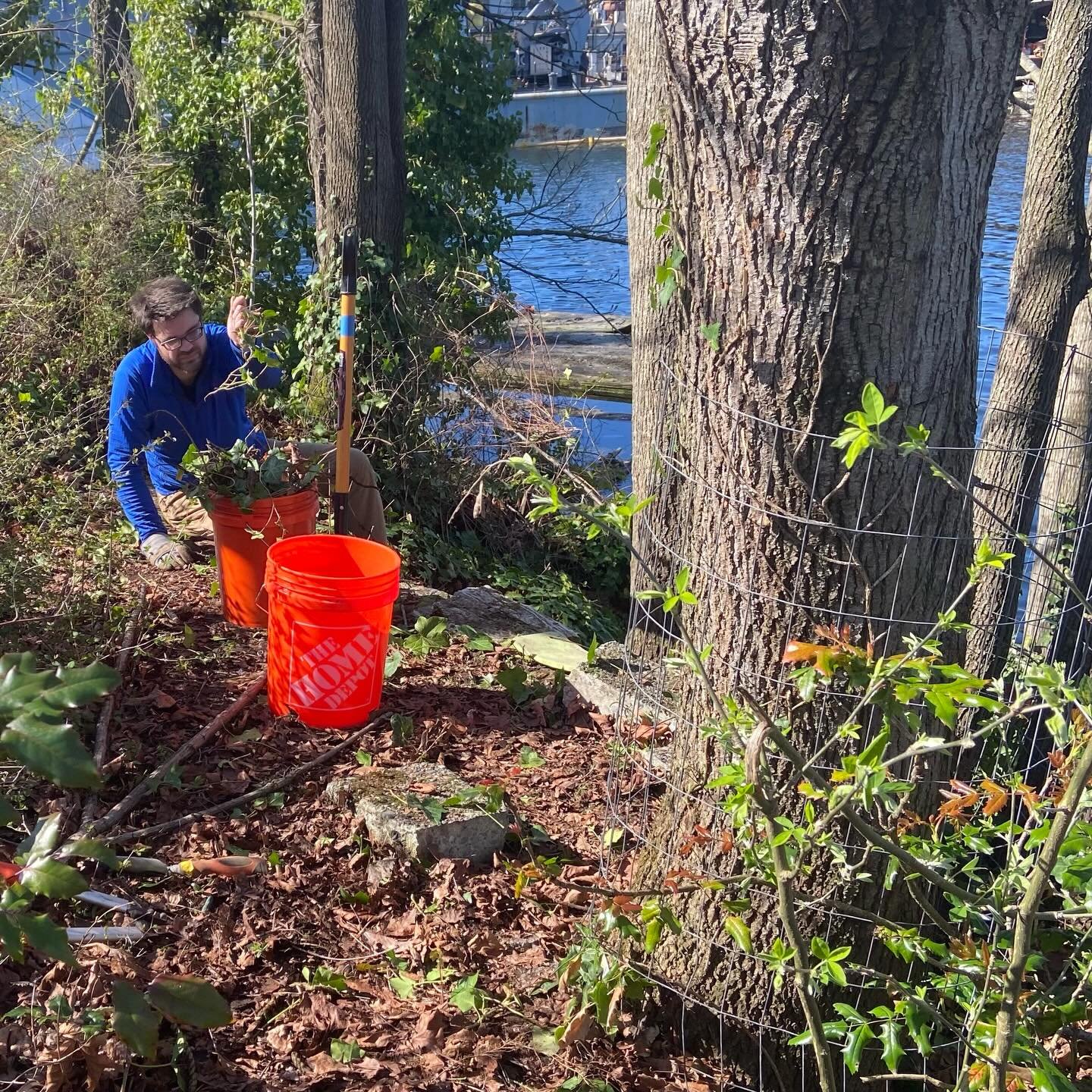 Did you see us working along the lake shoreline on April 4 during ECC&rsquo;s annual cleanup? About 20-25 volunteers pulled invasive ivy and blackberry brambles, picked up trash, and enjoyed a sunny day along the lake. @SDOT delivered a trailer conta