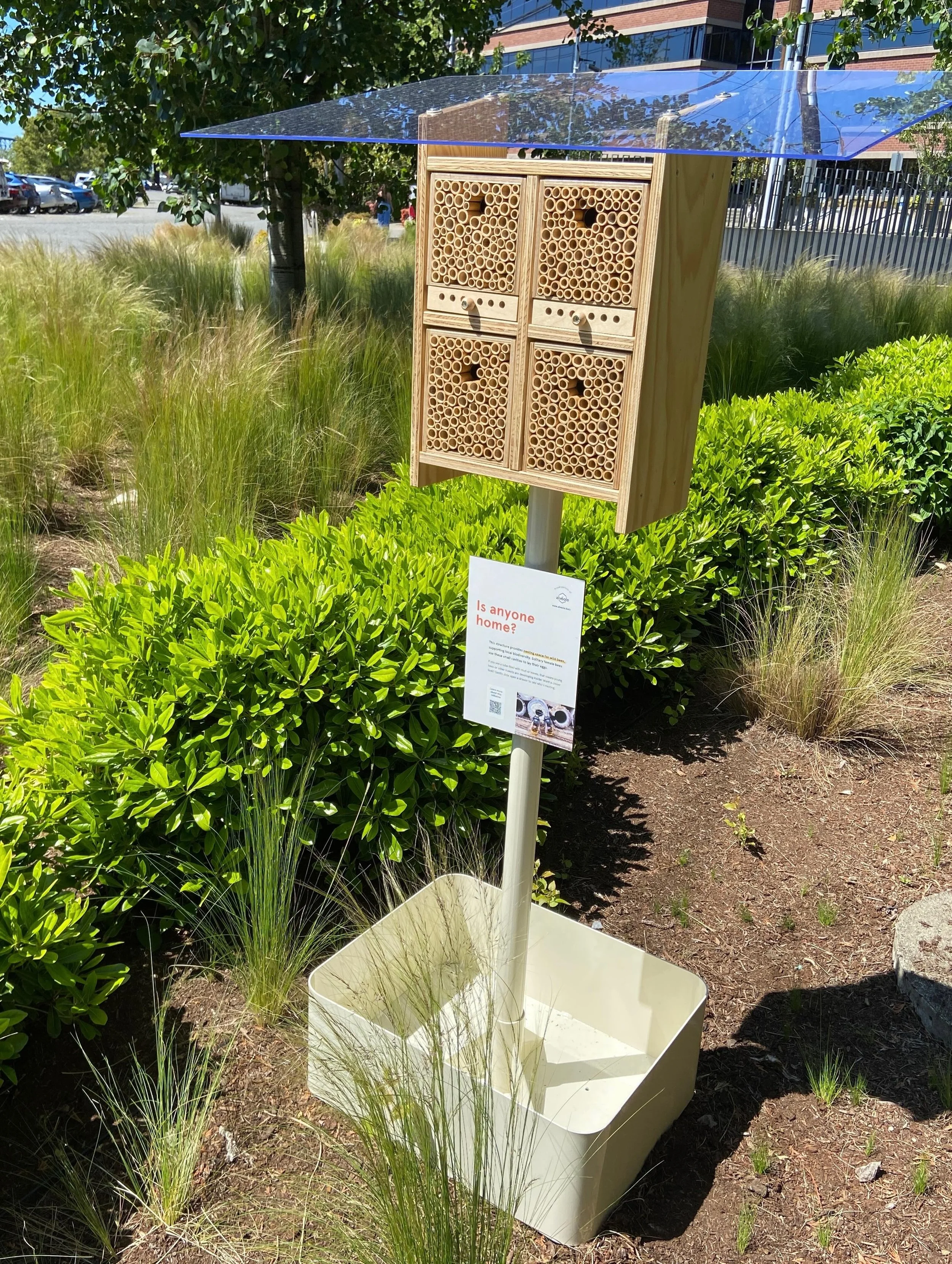 Sighted Recently: a bee nesting house for bees that don&rsquo;t live in hives. On the west side of the Alexandria building on Fairview. The hollow pieces lying on their sides in the four quadrants of the structure mimic hollow sticks or plants in the