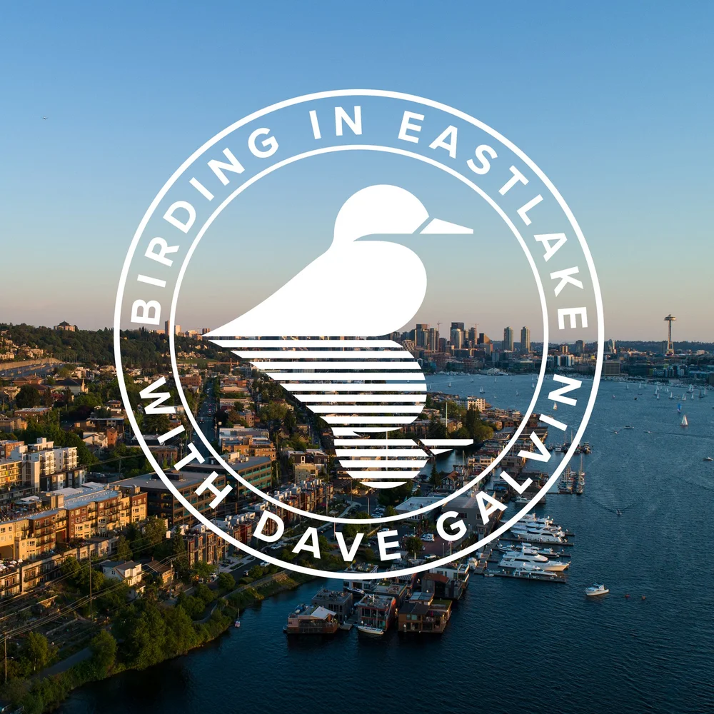 Birding in Eastlake Podcast Eastlake Community Council