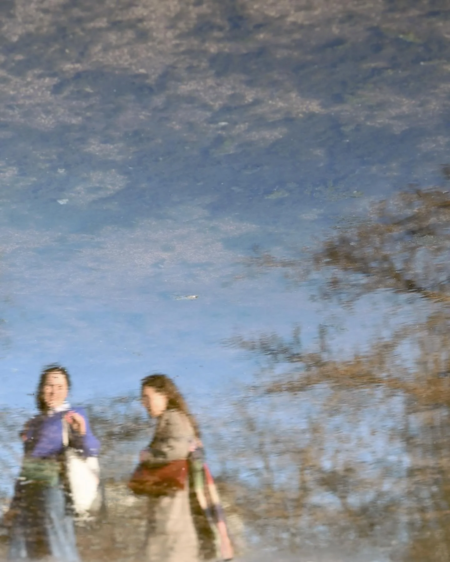 Forever fascinated by reflections. ☔️
.
#photography #photoshoot #photographer #nature #naturephotography #pnw #pacificanorthwest #evergreen #photooftheweek #photo #photographyislifee #autumn #professional #editorialphotography #fall #autumnal #baris