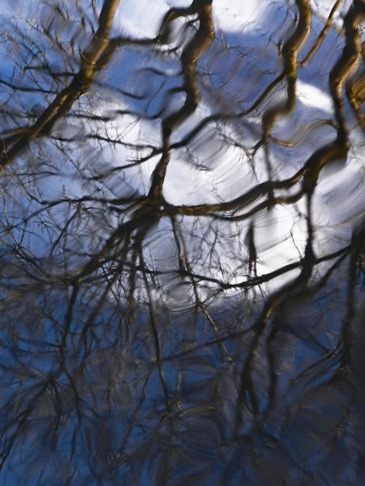 My eye always seeks reflections. Awed by the world under foot. 💧