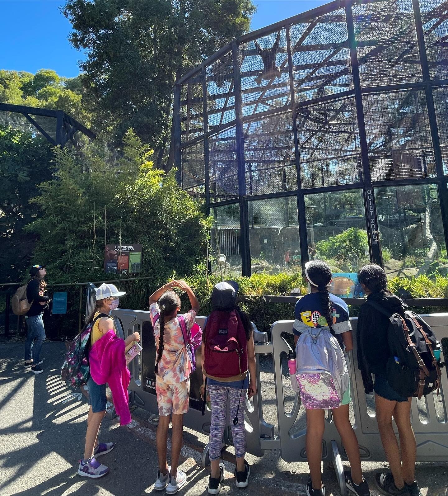 Our kiddos had so much fun today hiking through the African Savanna observing giant elephants and giraffes, watching the playful bears and lazy jaguars on the California Trail, and seeing how the monkeys swung back and forth in the Tropical Rain fore