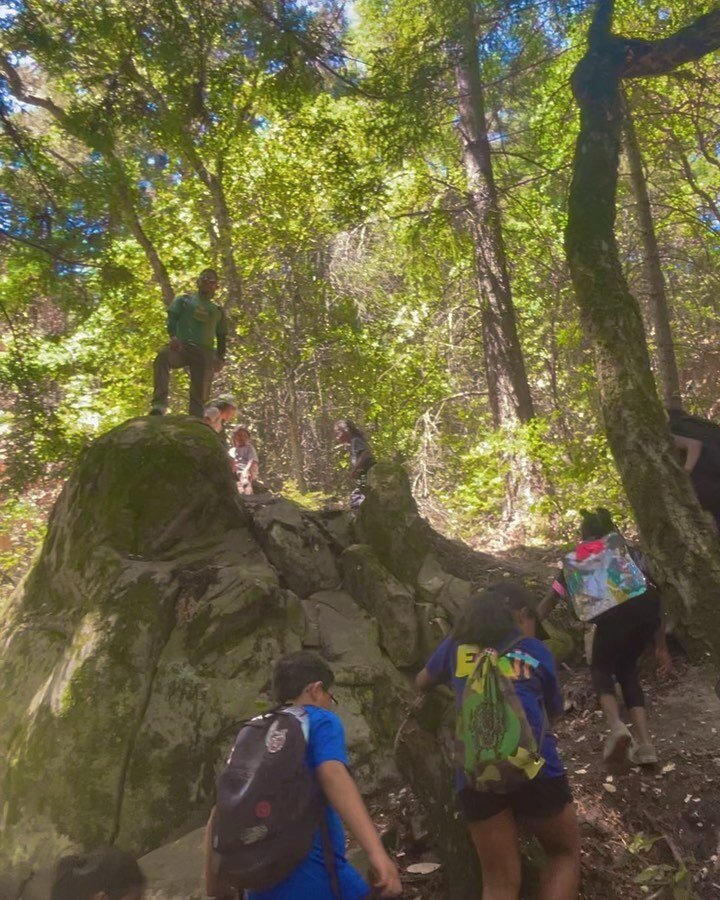 ESG had an amazing time waking through the forest even though, and unfortunately at that, we didn&rsquo;t get to kiss any banana slugs🍌🐌 #hikingadventures