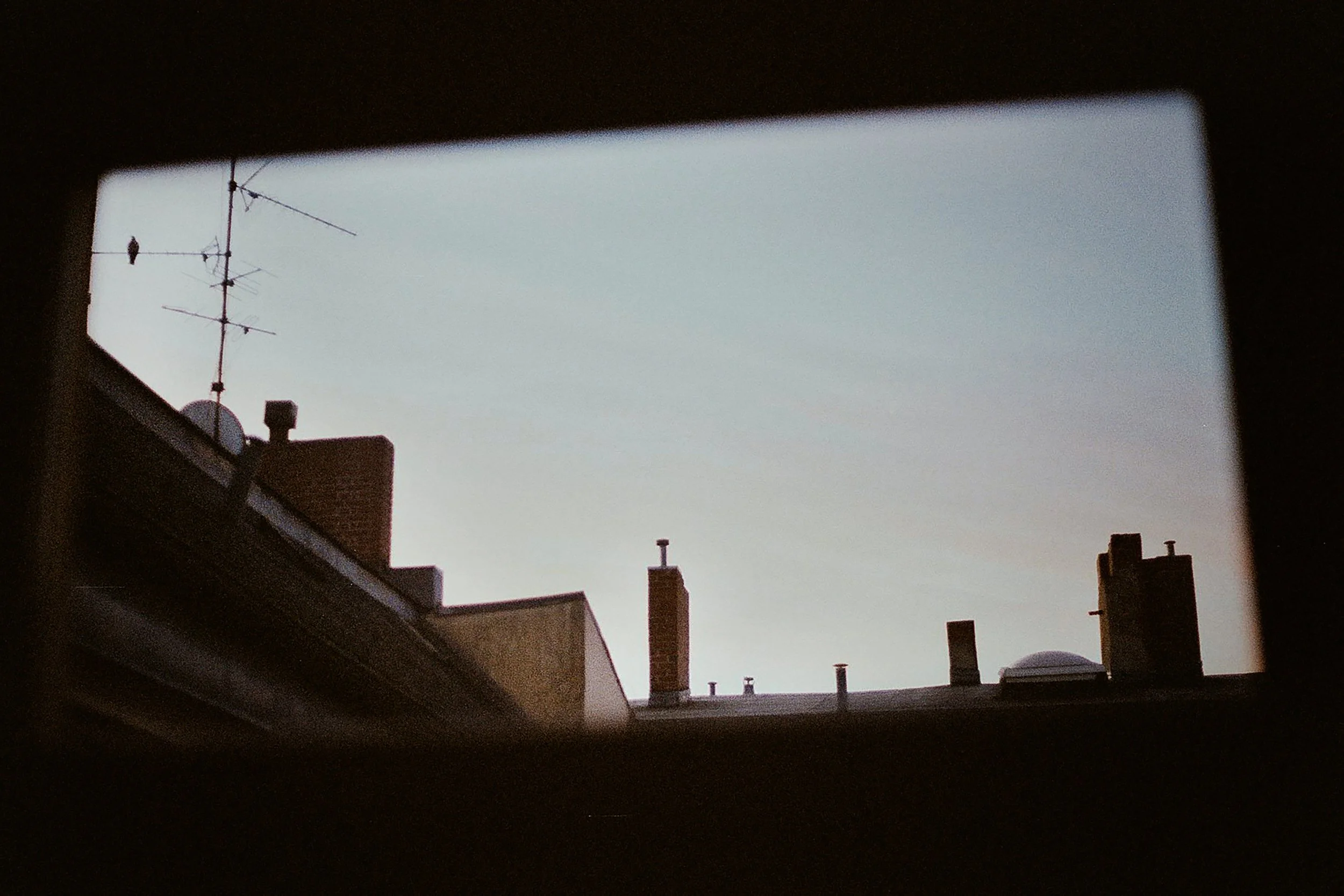 0037 © Petite Machine.JPEG