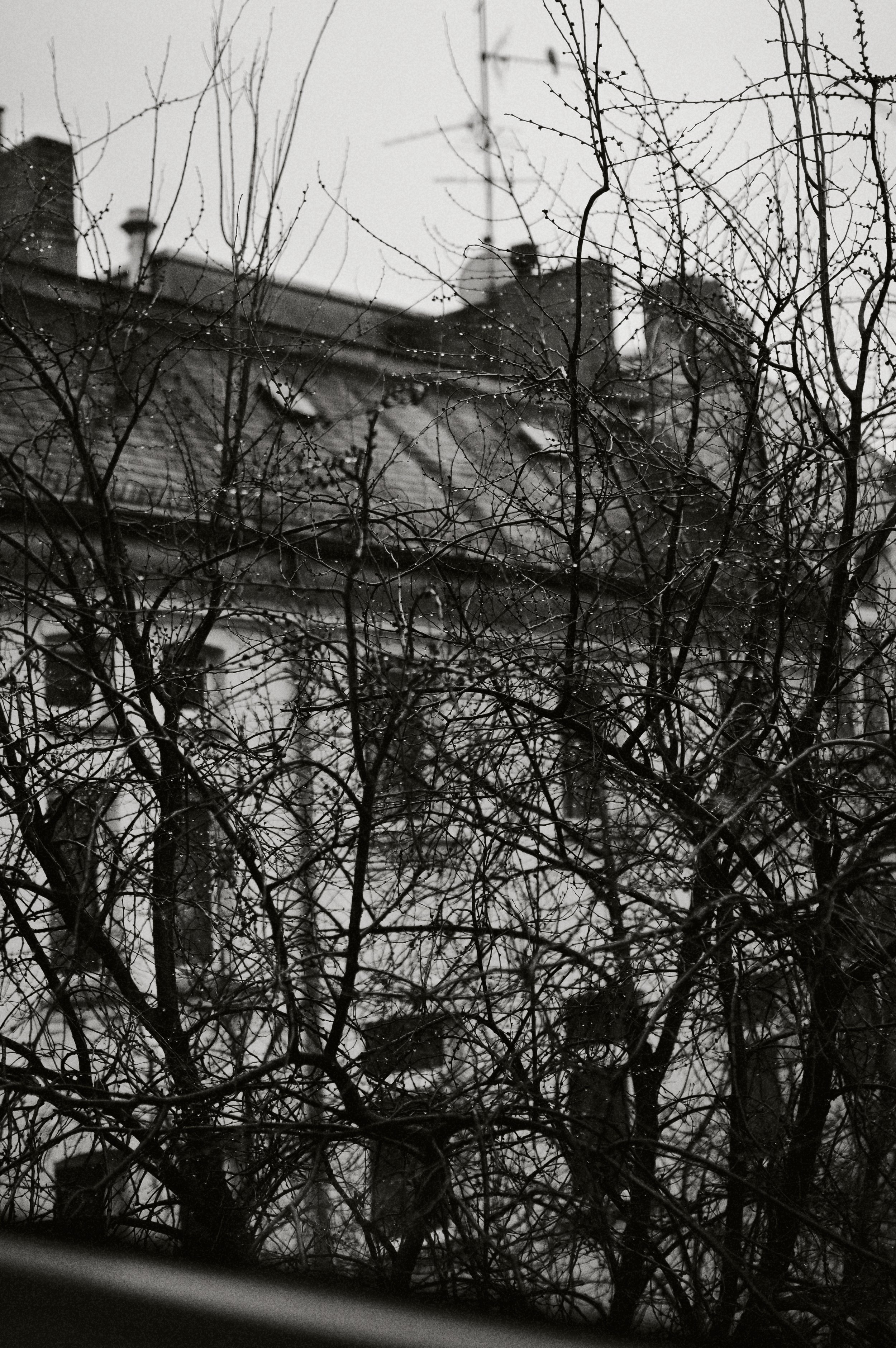 raining Window variante.JPEG