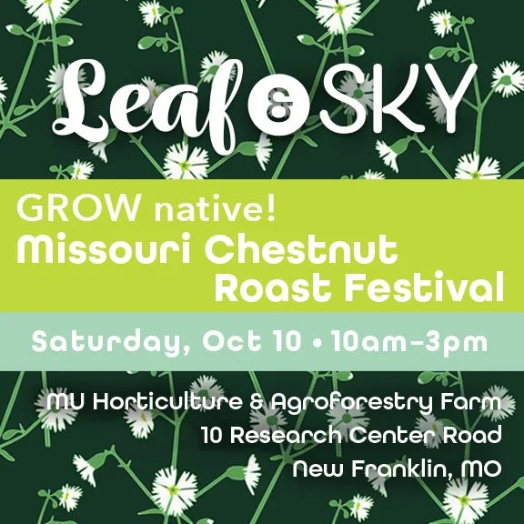 Missouri Chestnut Roast Festival