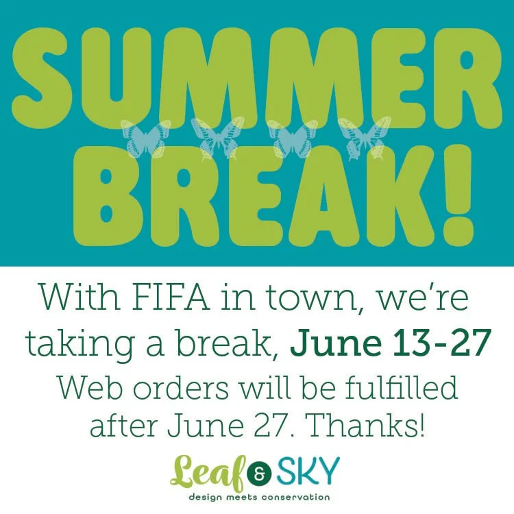 Summer Break