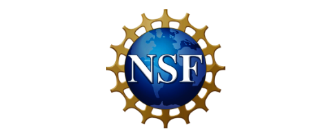 NSF logo featuring a blue globe with white letters 'NSF' surrounded by a gold gear.