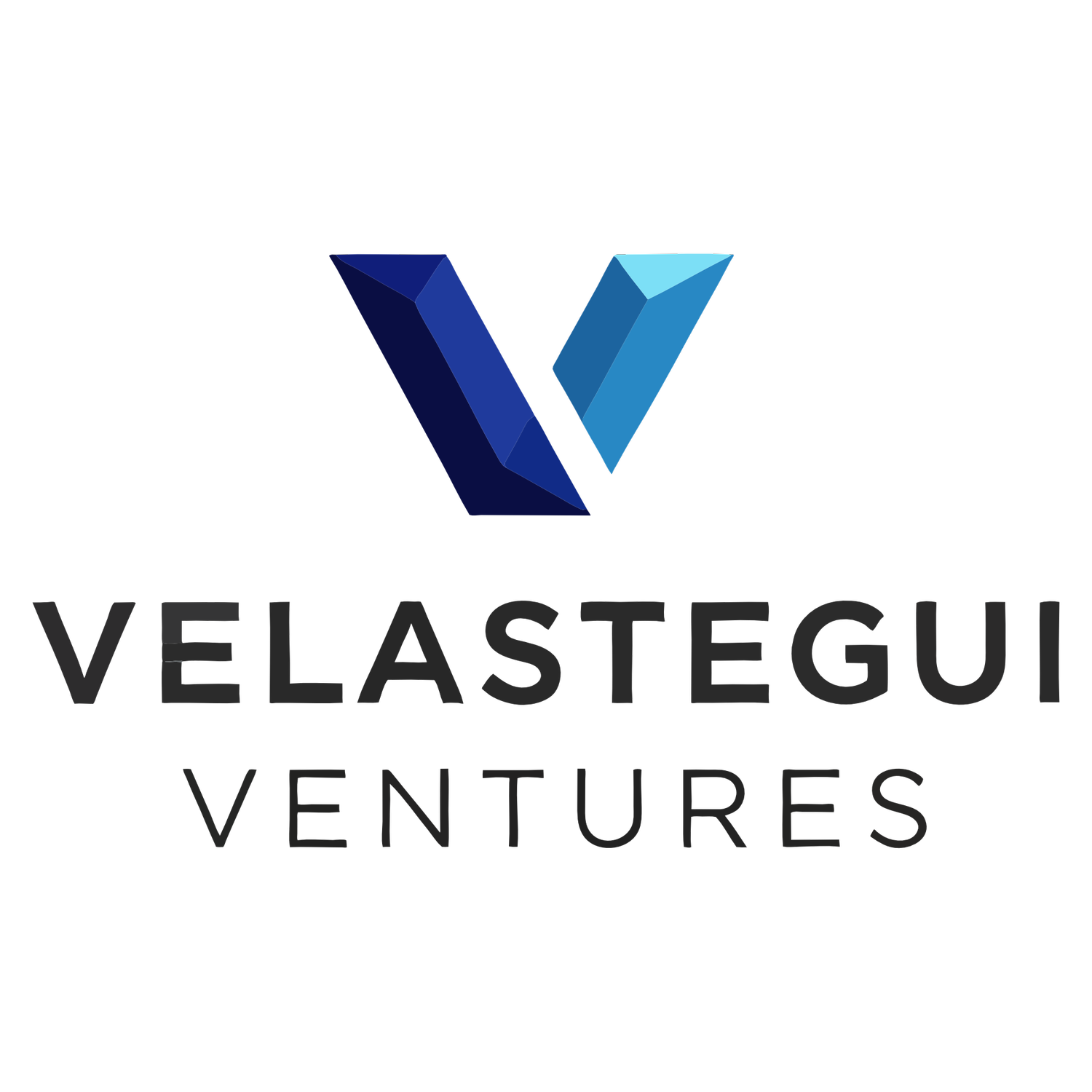 Velastegui Ventures