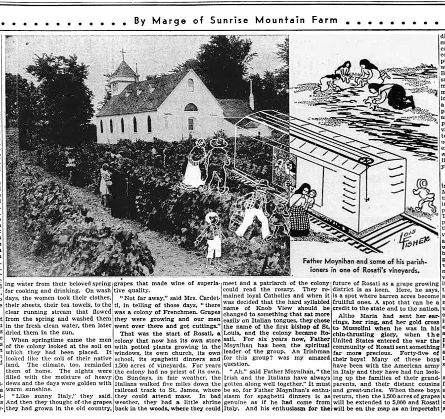 Grapegrowing in Rosati